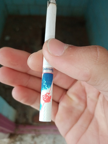 Взято из открытого источника Яндекс Картинки