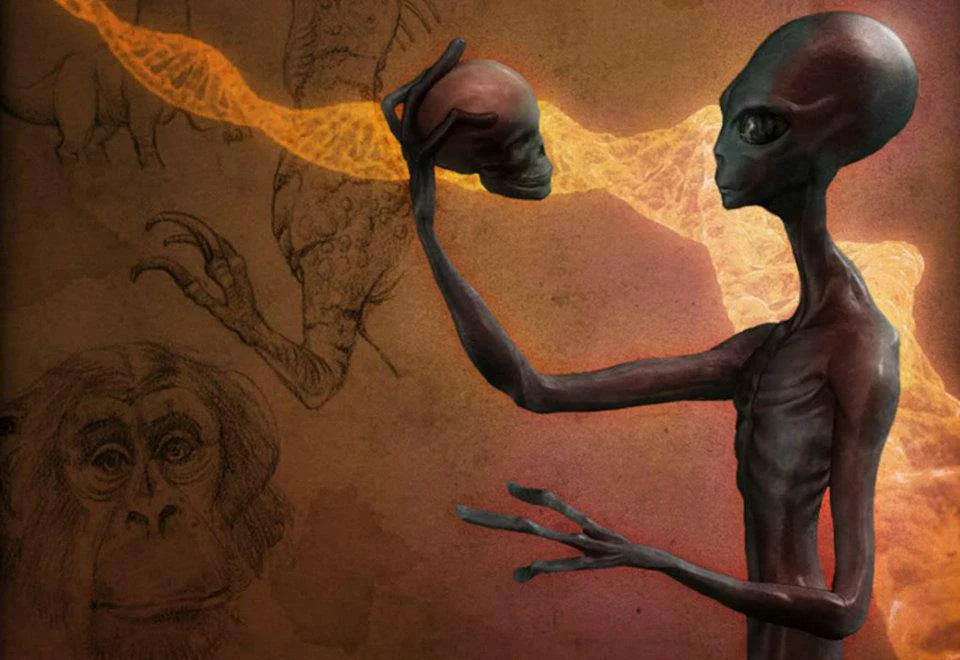 Нло похищение людей. Нордические пришельцы на нло. Плеядеанцы адама. Теория внешнего вмешательства (палеовизит). Парень нло.