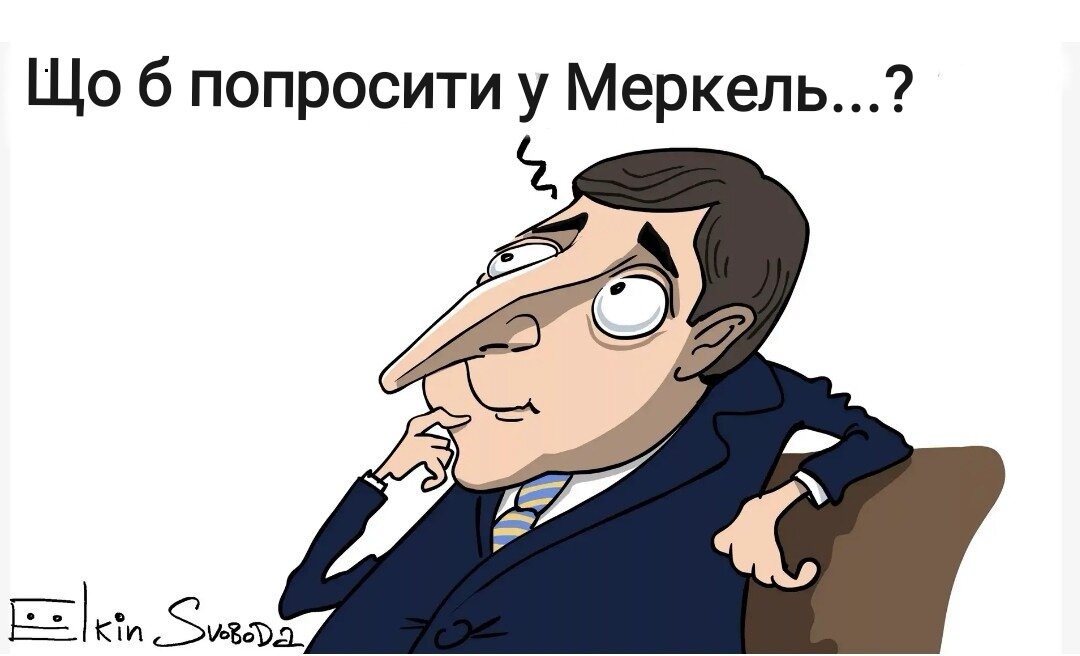 Карикатура С. Ёлкина