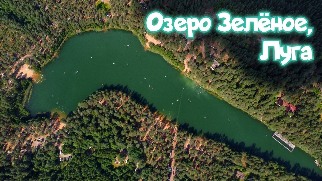 Зеленое озеро луга ленинградская область