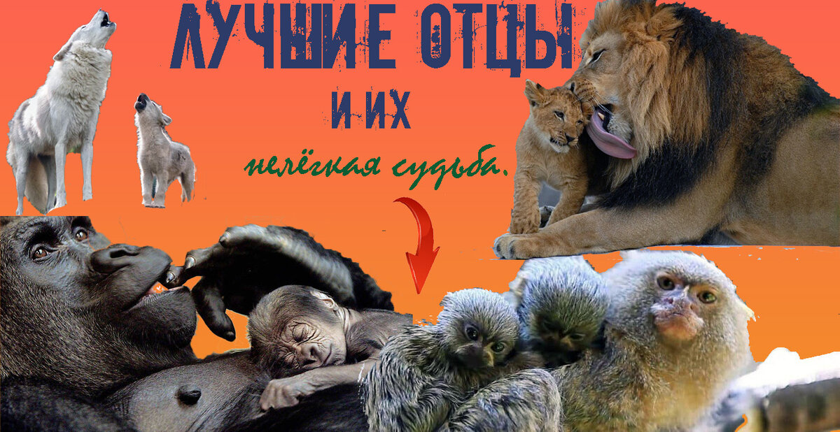 Не судите строго)