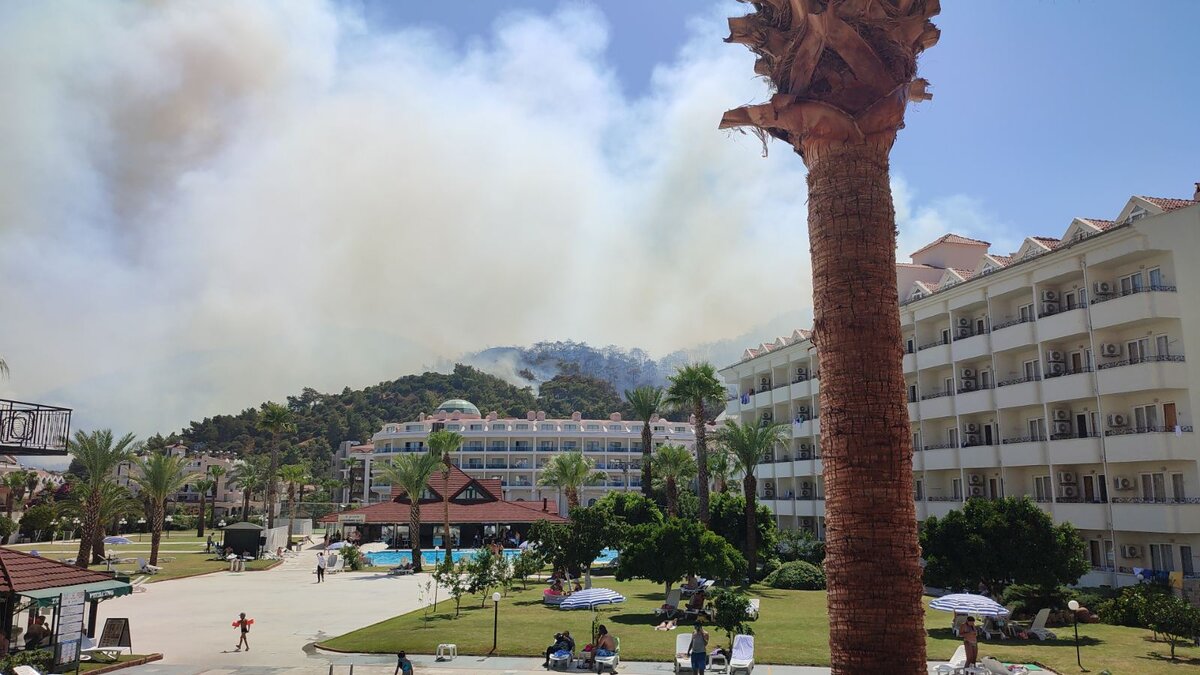 Pineta club hotel 4*