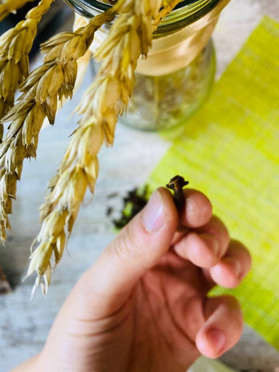 Тест на наполненность гвоздики эфирными маслами: опустите бутон гвоздики в стакан воды, если она плавает вертикально ножкой вниз, либо опустится на дно, то эта гвоздика хорошая, наполненная. А если же она плавает горизонтально, то полезные масла из нее уже испарились.