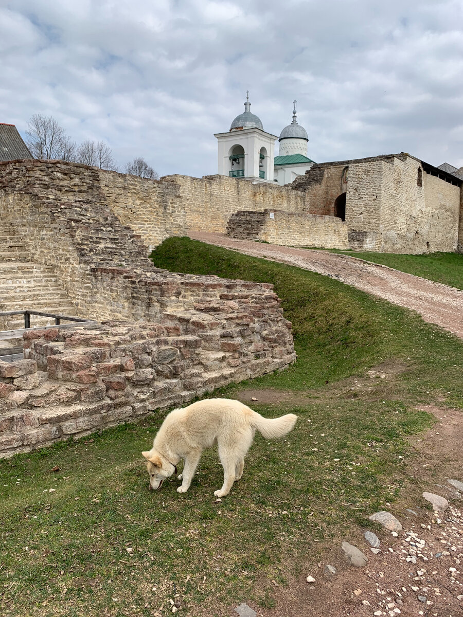 Местный житель Изборска.