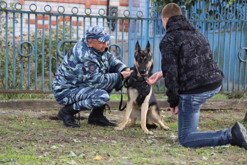 Димка из села Стрелецкое ( такое же  название, как и моей слободы), Белгородской области просто счастлив. Не обратись он к Президенту, у него никогда  не было этой породистой красавицы Медеи. Источник: Яндекс. Картинки.