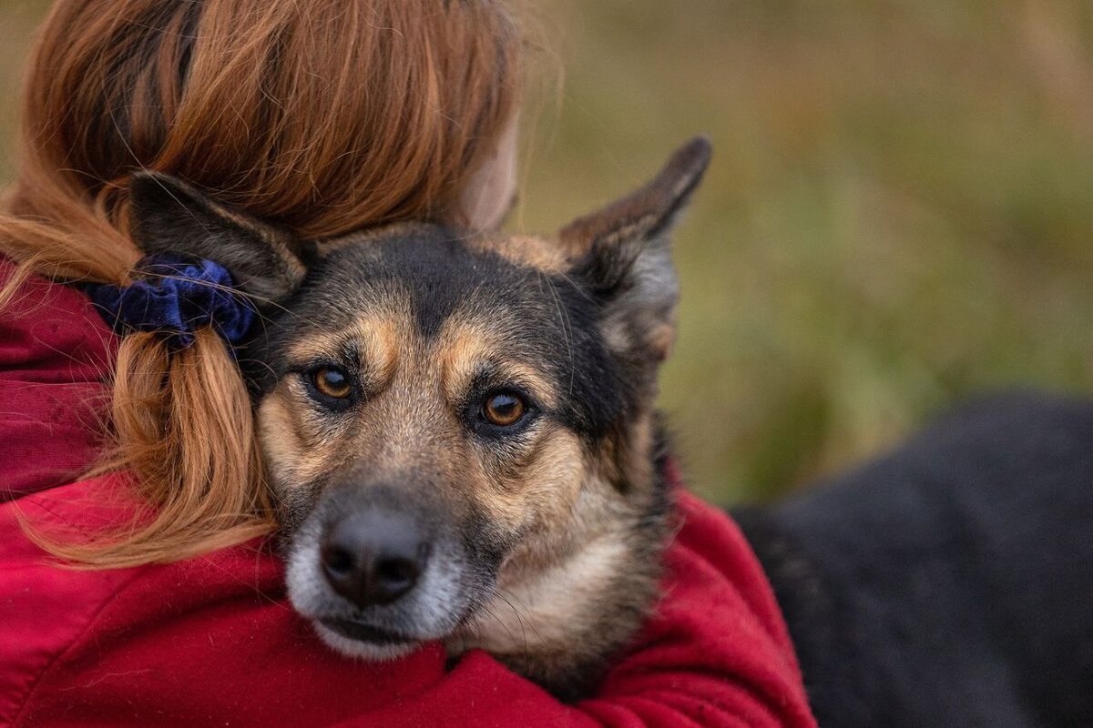 Снова в приюте