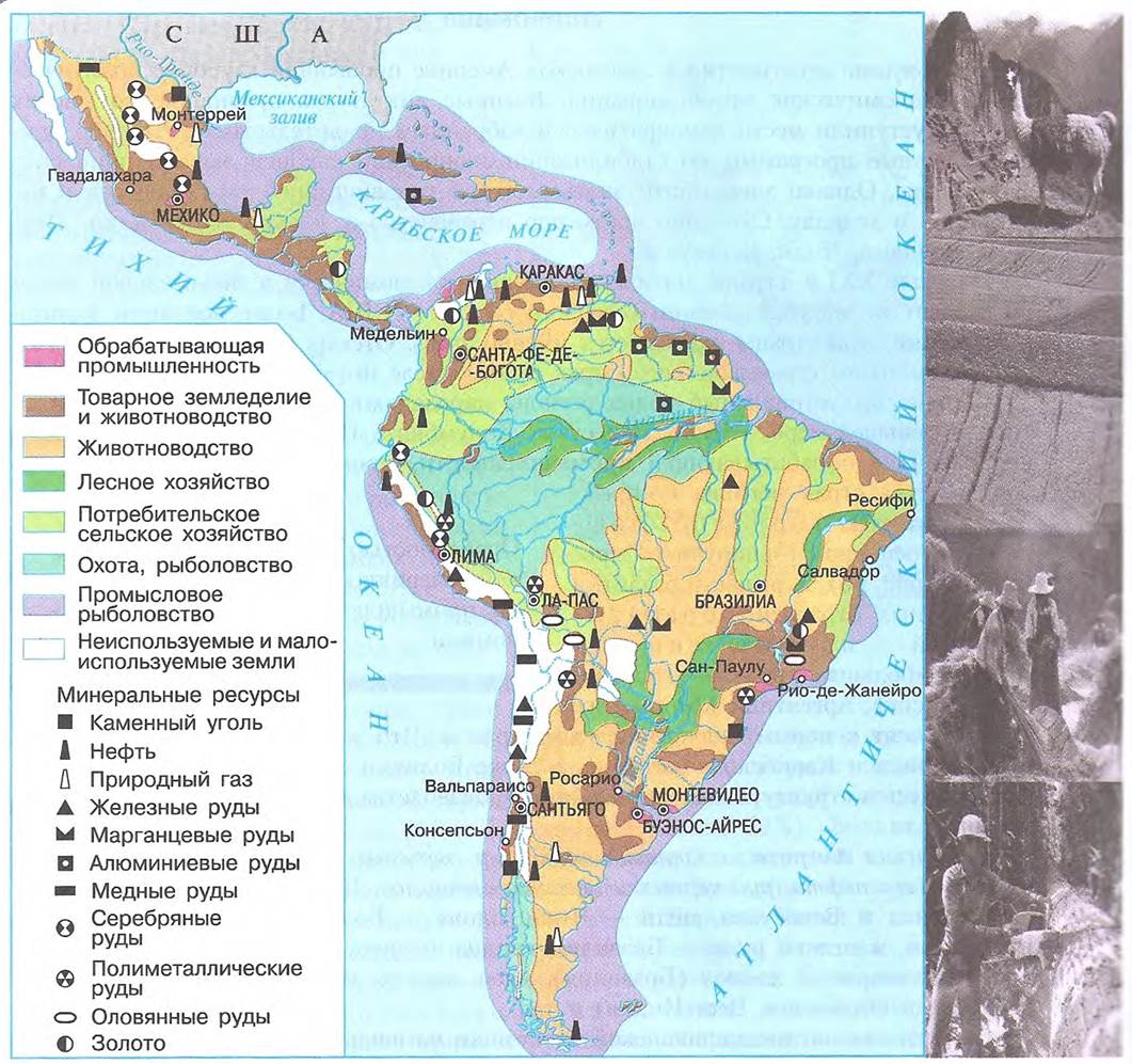 Латинская америка 9 класс. Хозяйство Латинской Америки карта. Промышленность Латинской Америки карта. Латинская Америка отрасли промышленности на контурной карте. Экономическая карта Латинской Америки 11 класс.
