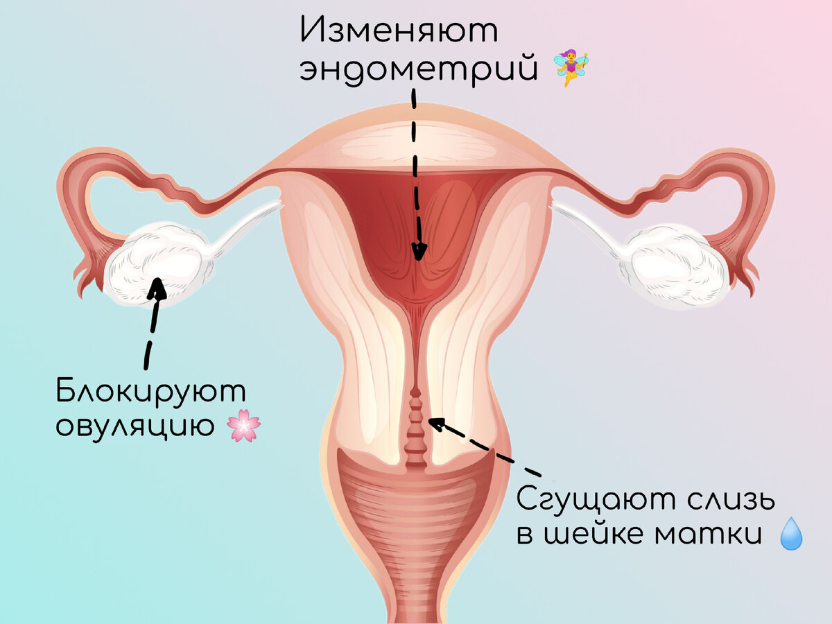 Пероральные контрацептивы