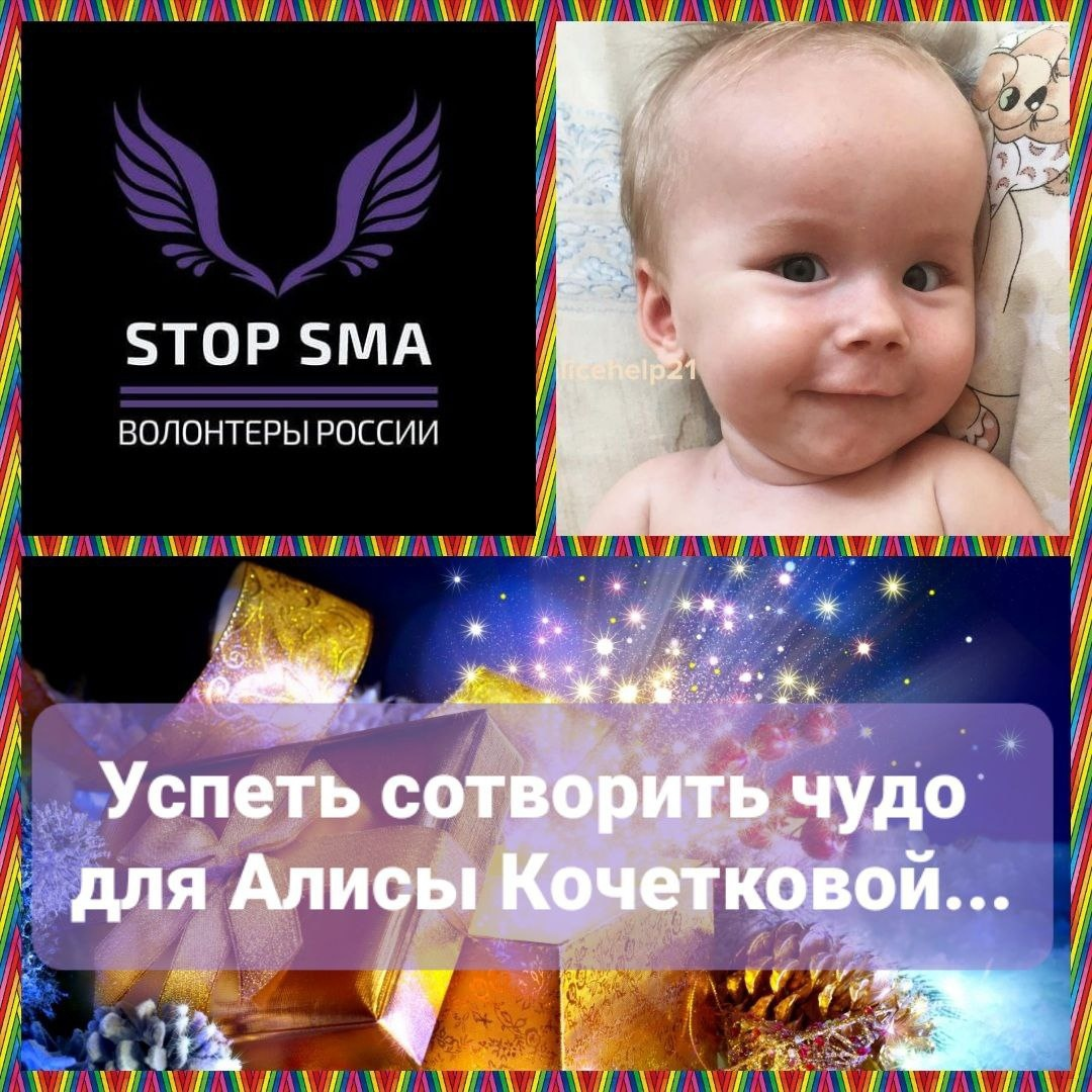 Алиса Кочеткова