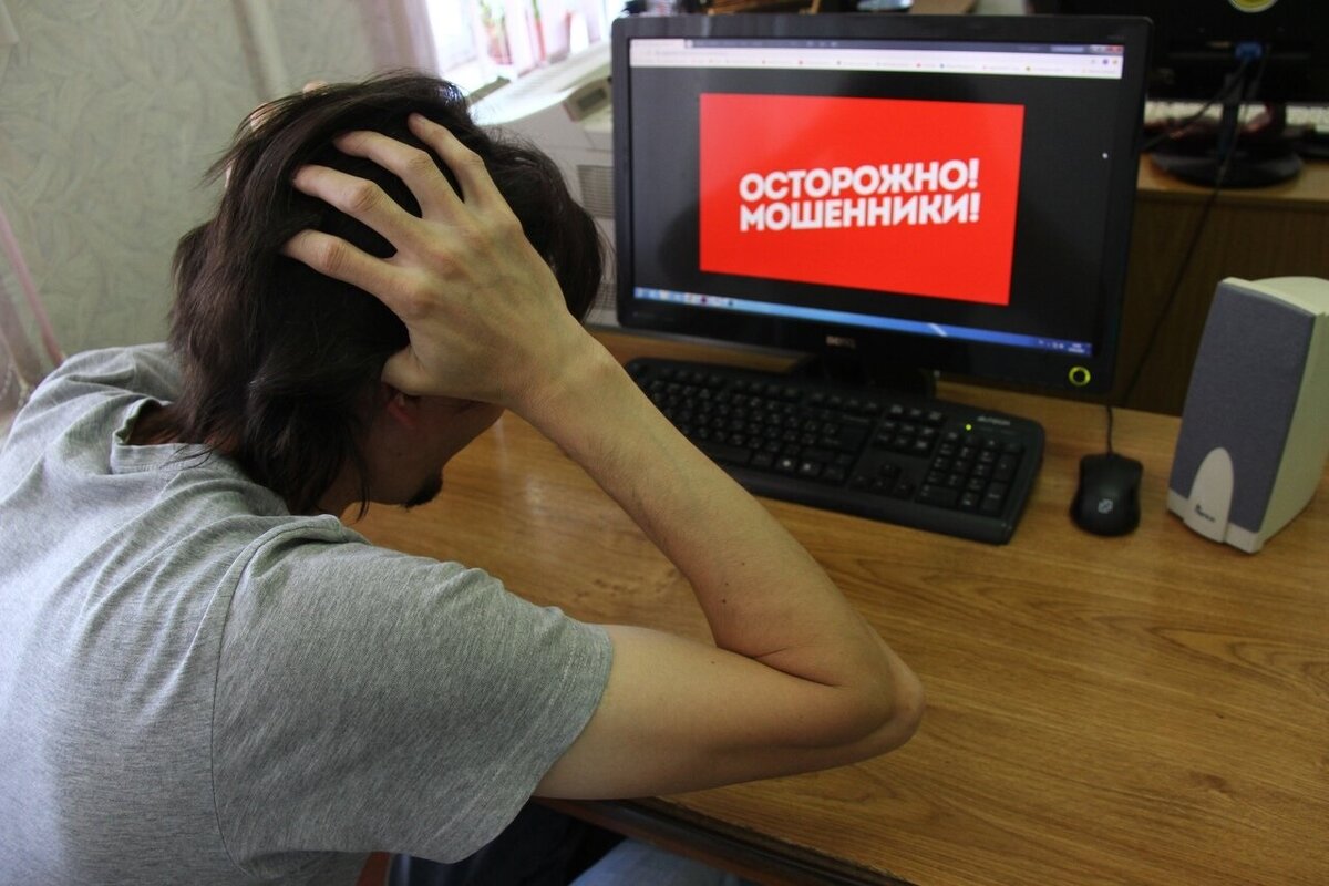 Жаль, что такой записи нет на каждом фишинговом сайте. Фото: twimg.com