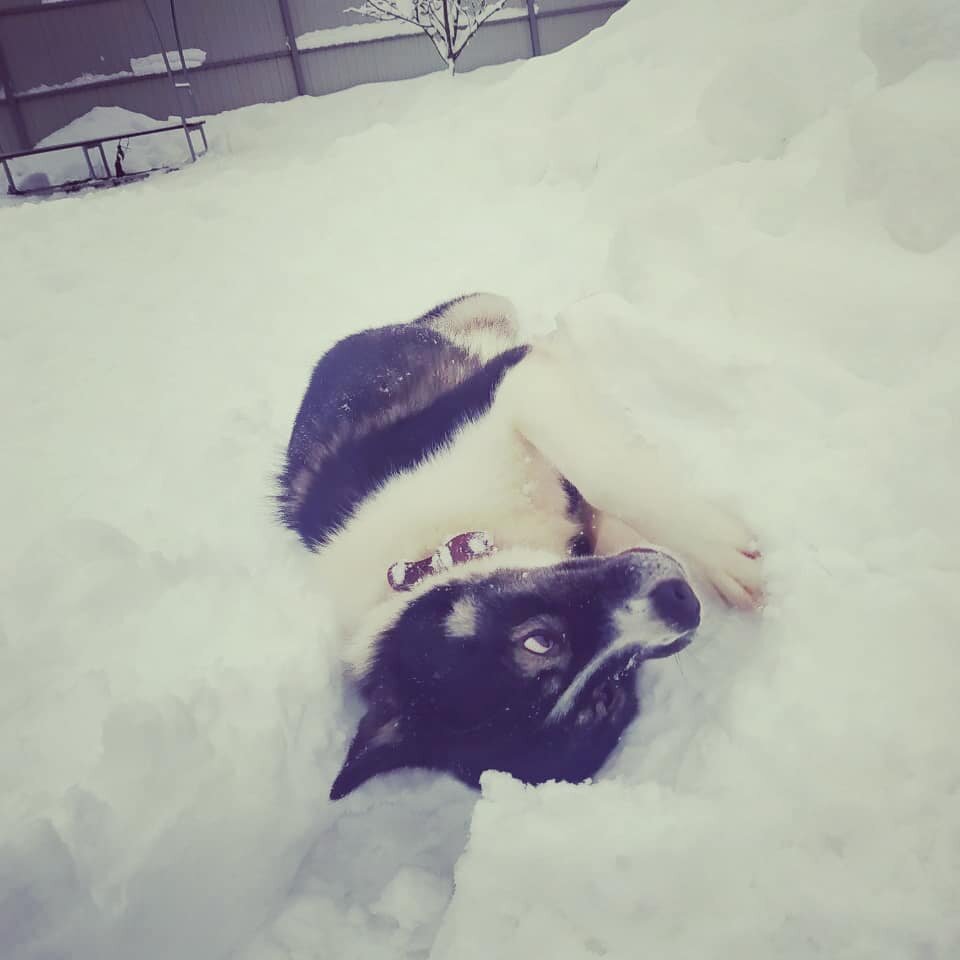 -2
