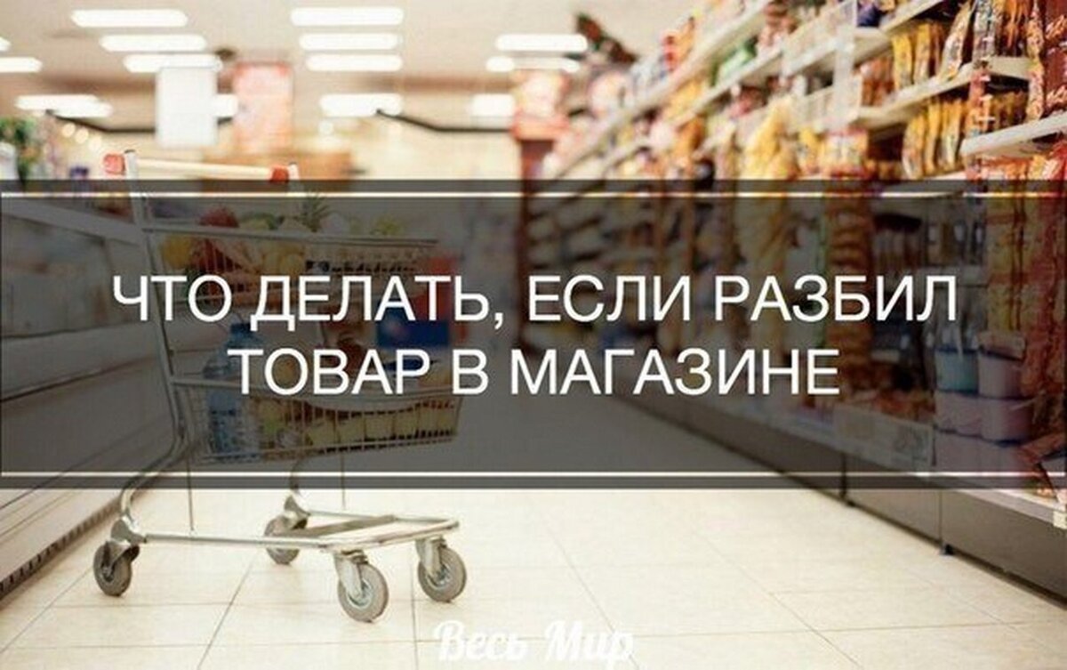 Источник фото сайт-https://goo.su/b2xZ