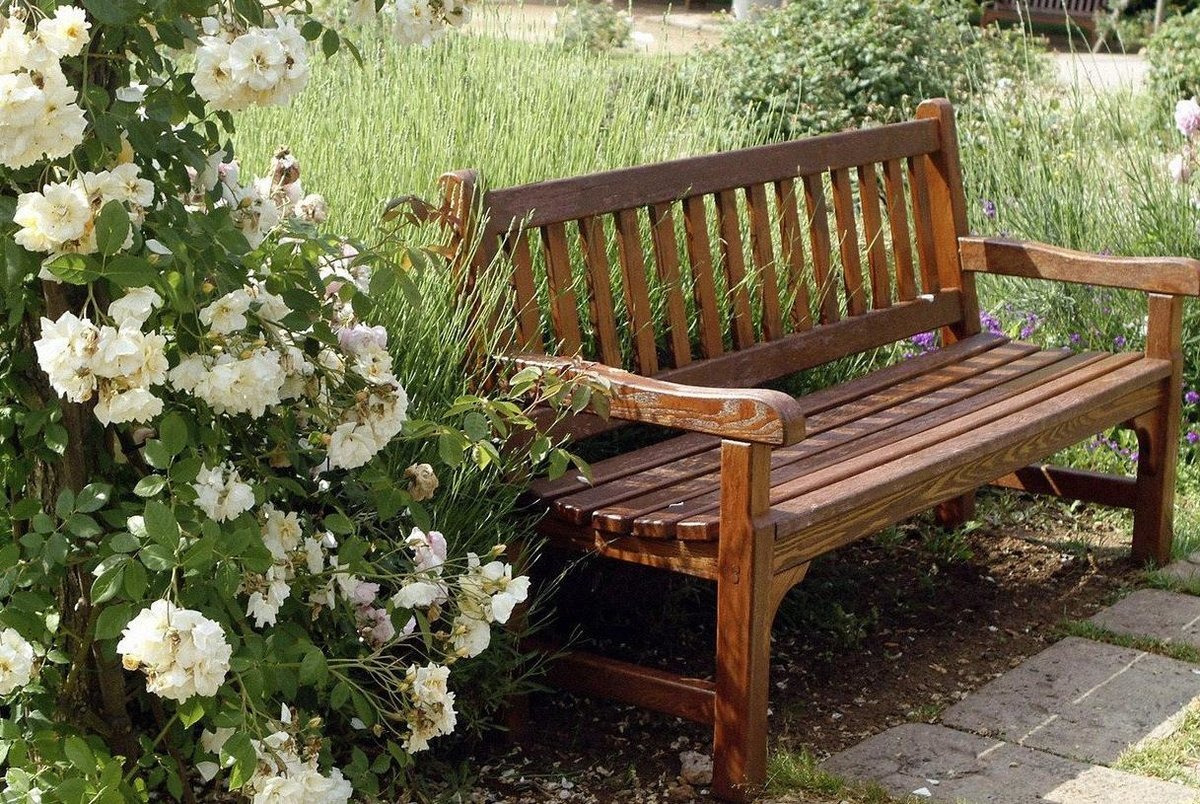 Ландшафтный дизайн скамейка в саду: 78 фото