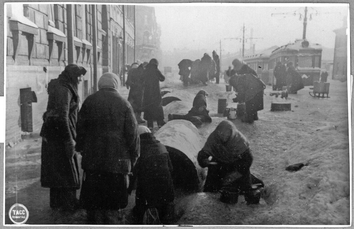 Смотрим 10 фотографий Ленинграда 1942-1944 годов (продолжение) | ПОЕЗДКИ в  Петербург ☔и не только | Дзен