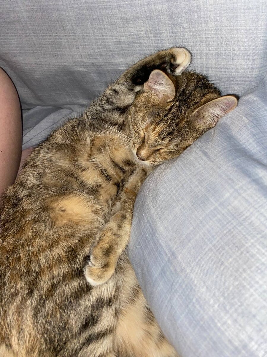 Тут она подросла и мило отдыхает