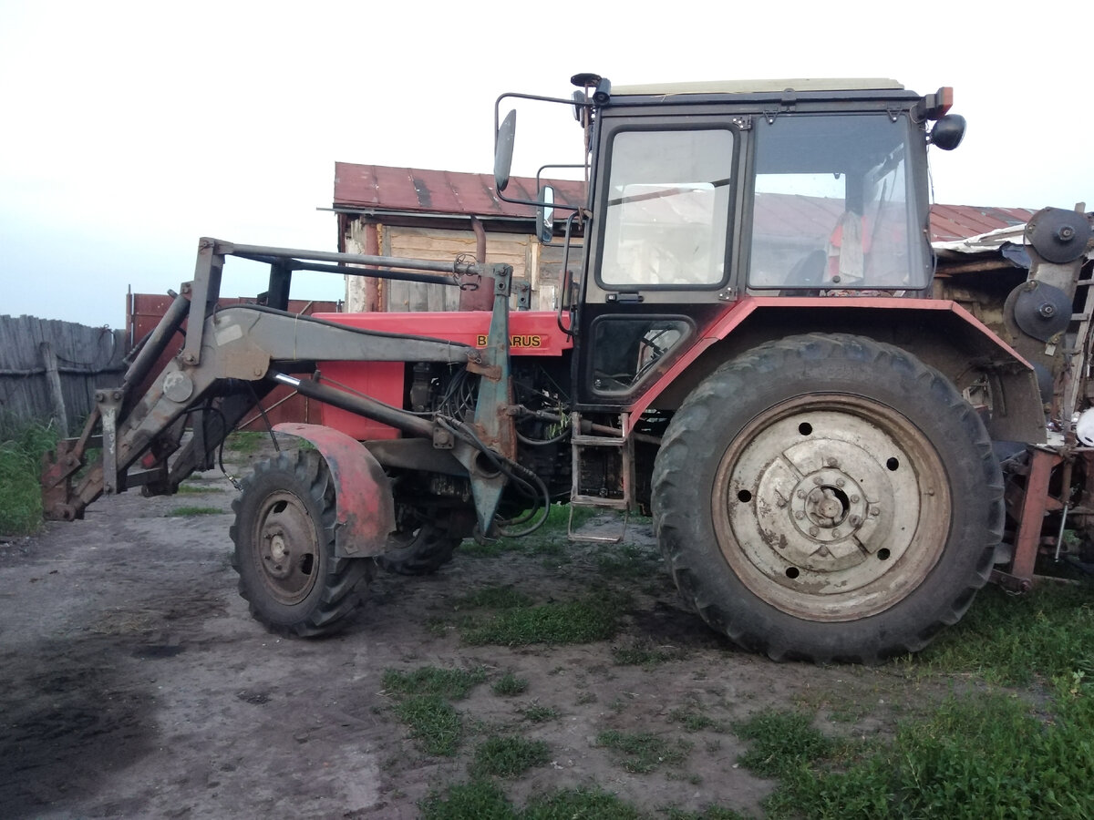 Фото автора. Этот остался.