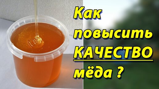 КАЧЕСТВЕННЫЙ МЁД. Как получить мёд хорошего качества на своей пасеке. Секреты пчеловодства