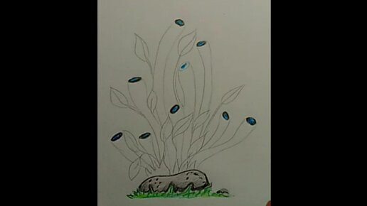 Как нарисовать аквариум карандашом поэтапно