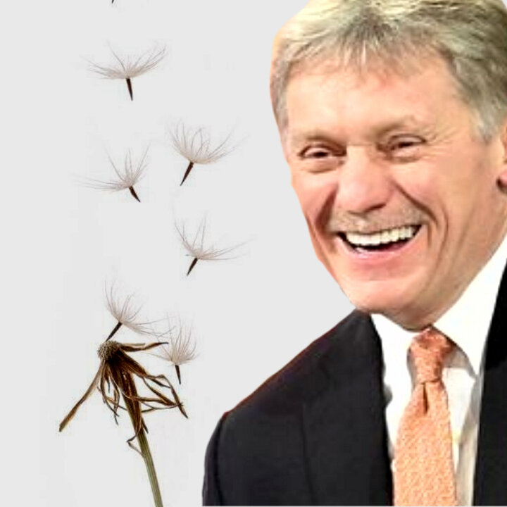 Использованы фотографии из открытых источников