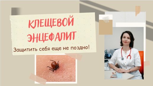 Клещевой энцефалит. Защитить себя еще не поздно. Власова Анна Алексеевна, врач аллерголог-иммунолог, педиатр.