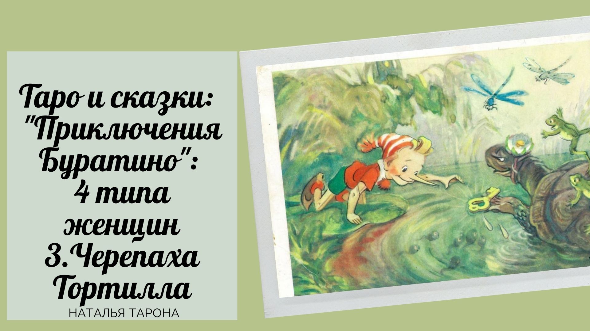 Тортилла из буратино картинки