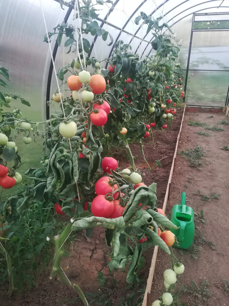 Фото из личного архива