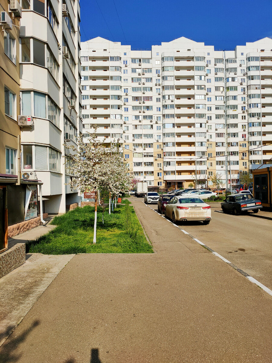 Фото из архива автора, микрорайон Московский, Краснодар. Панельный дом