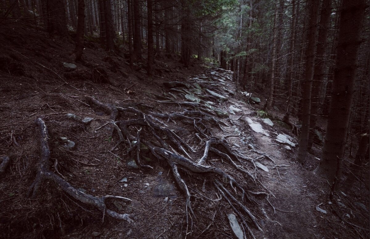 Иллюстрация к рассказу найдена в сети Интернет