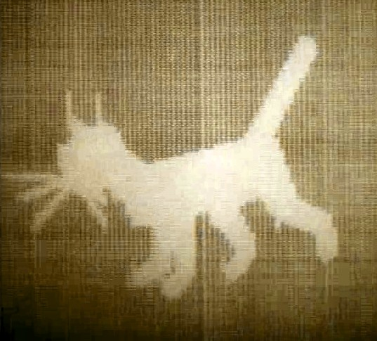 Кадр из мультфильма "Кошечка" взят для иллюстрации из Яндекс Картинки.  