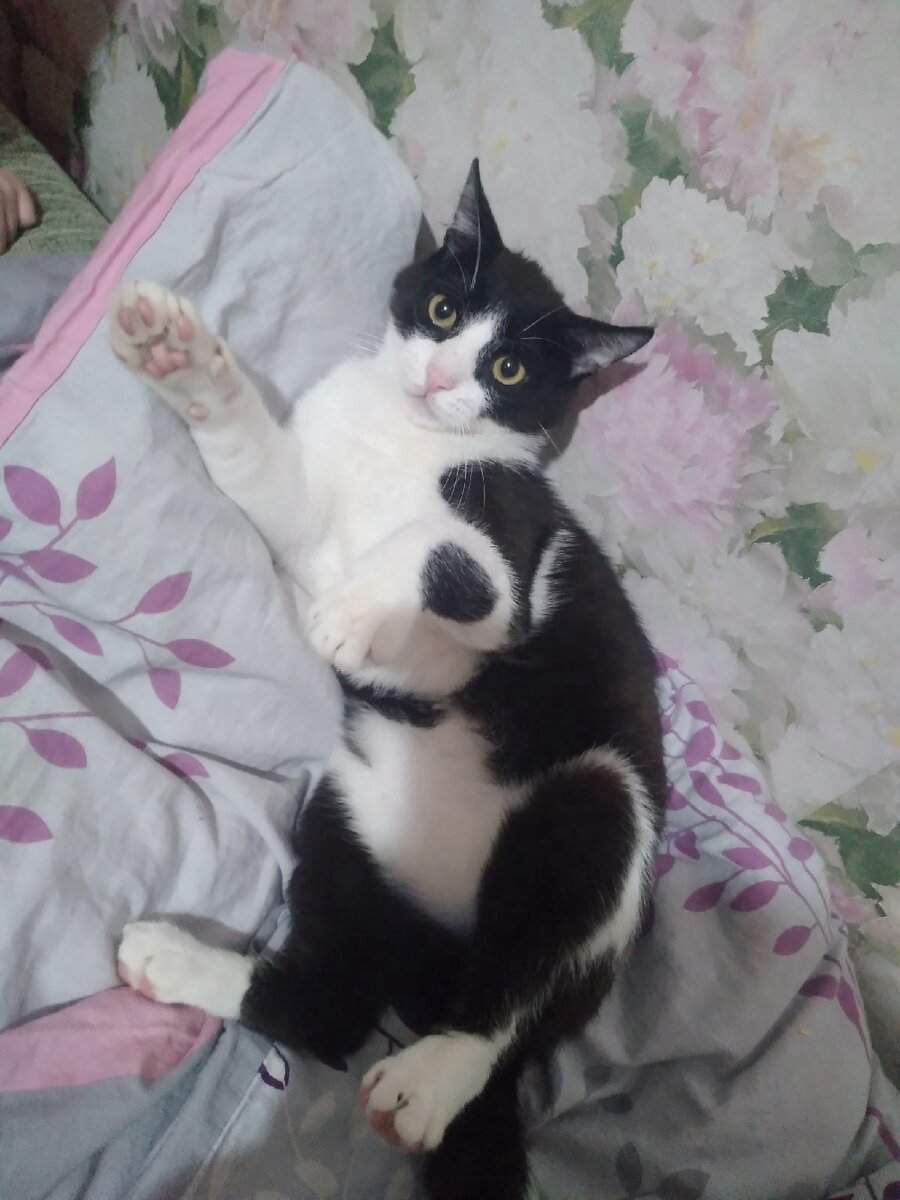 Это не Кекс)))