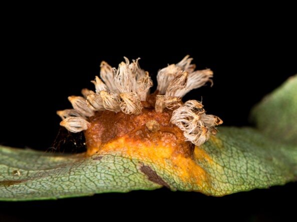 Фото: shutterstock.com