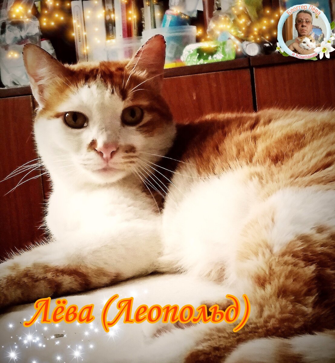 Это Я - Лёва.