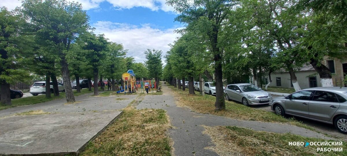 Фото Светланы Добрицкой