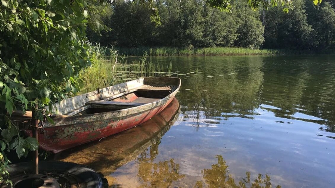 В 2022 году погода отличается непредсказуемостью. Фото: Pexels.com 