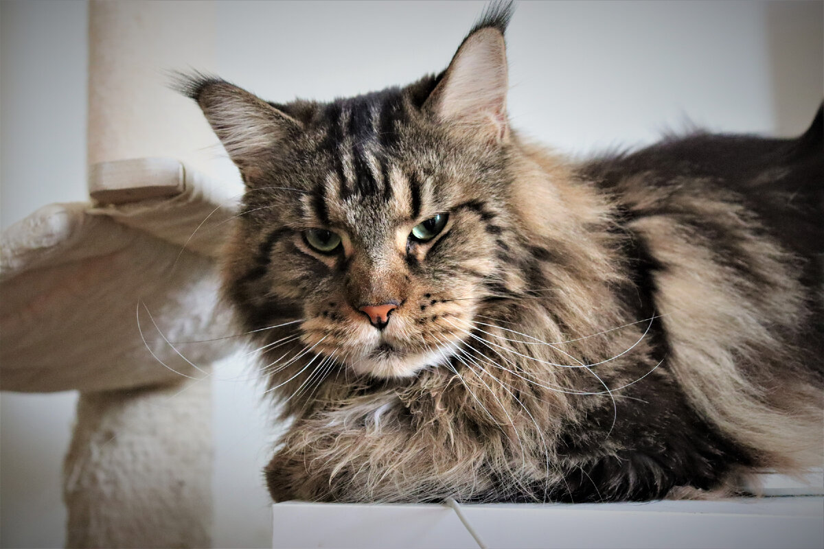 Фото из личного архива.