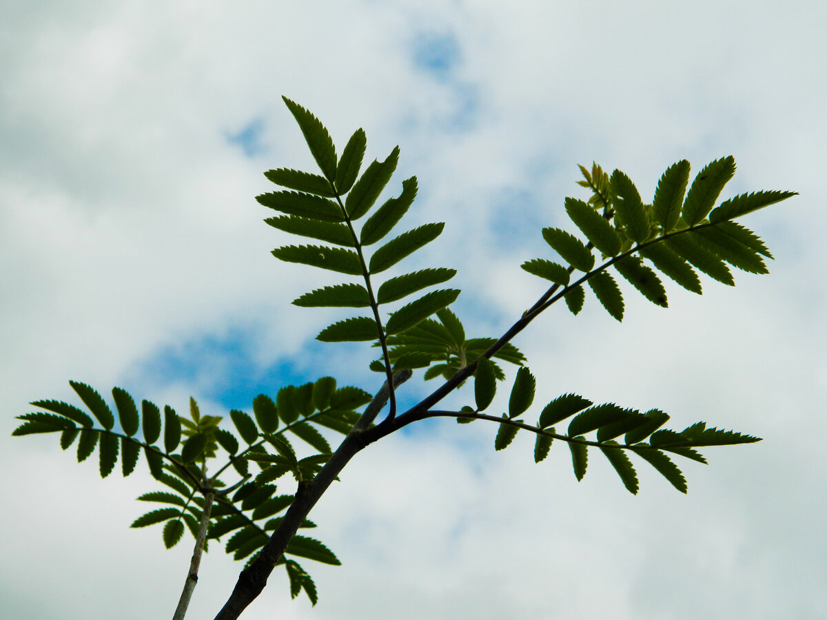 фото автора канала