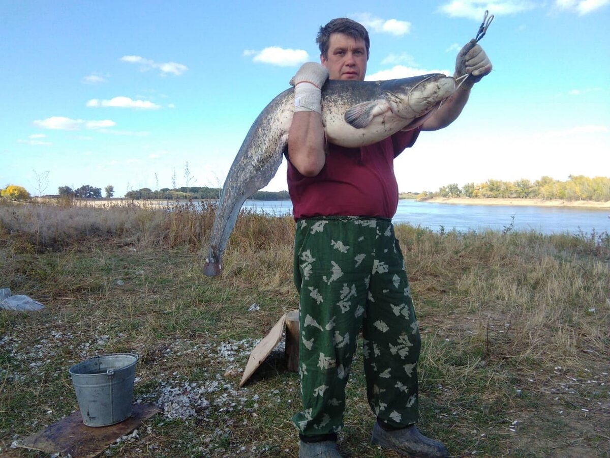 Самый большой сом пойманный на волге