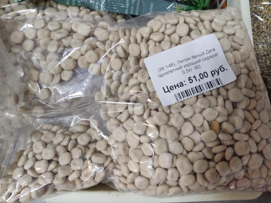 Люпин белый однолетний. Как мило написано на упаковке: «Хороший сидерат».