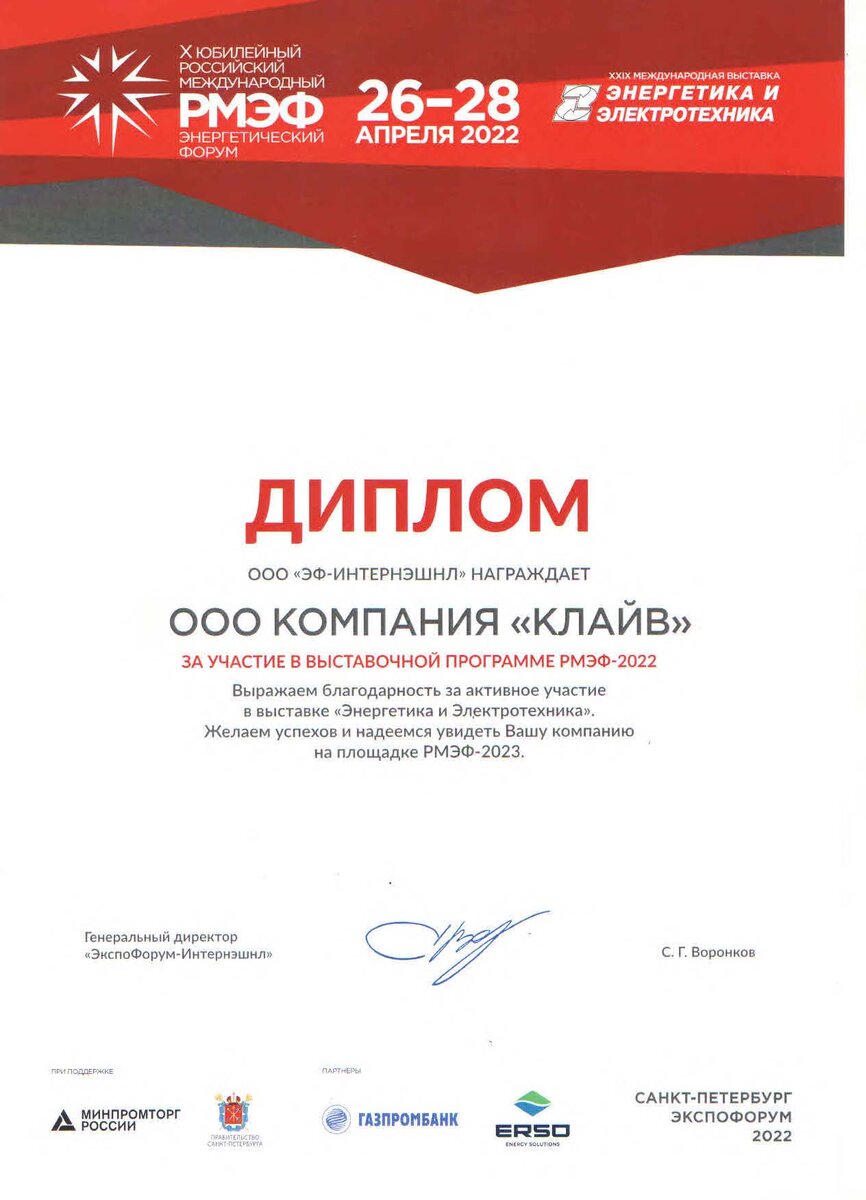 Диплом участника РМЭФ-2022