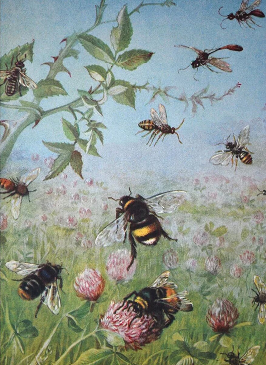 Пейзаж с пчелами