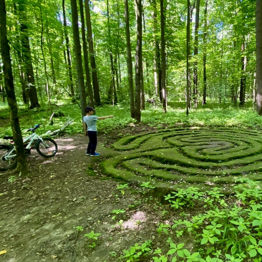 Мы приехали сюда сперва на электричке МЦК, а дальше на велосипедах (фото автора)
