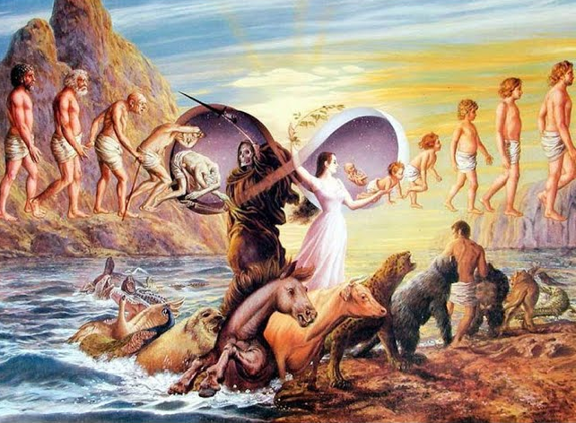 Источник: https://www.sarasvat.org/wp-content/uploads/2021/12/samsara.jpg