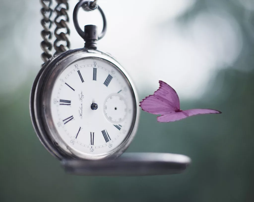 Источник: https://i.ytimg.com/vi/OYtakvrgA_U/hqdefault.jpg