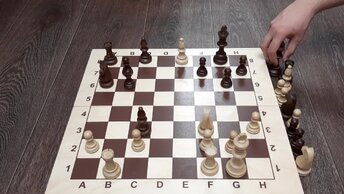 Хитрый ход, который приведет вас к завоеваниям , Шахматный Урок