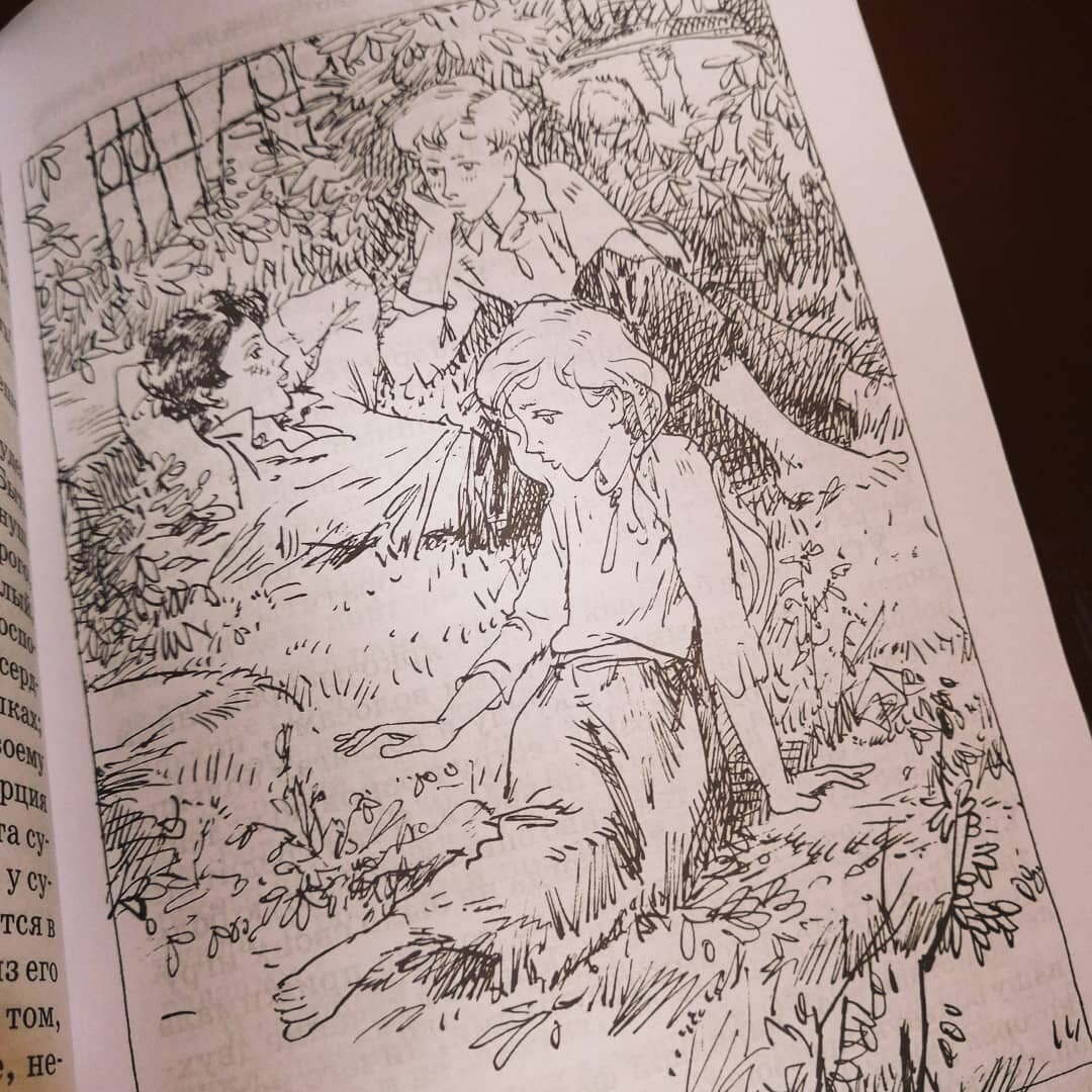 Иллюстрация из книги