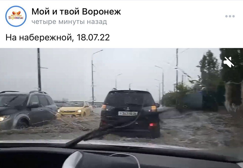     скриншот из паблика Мой и твой Воронеж