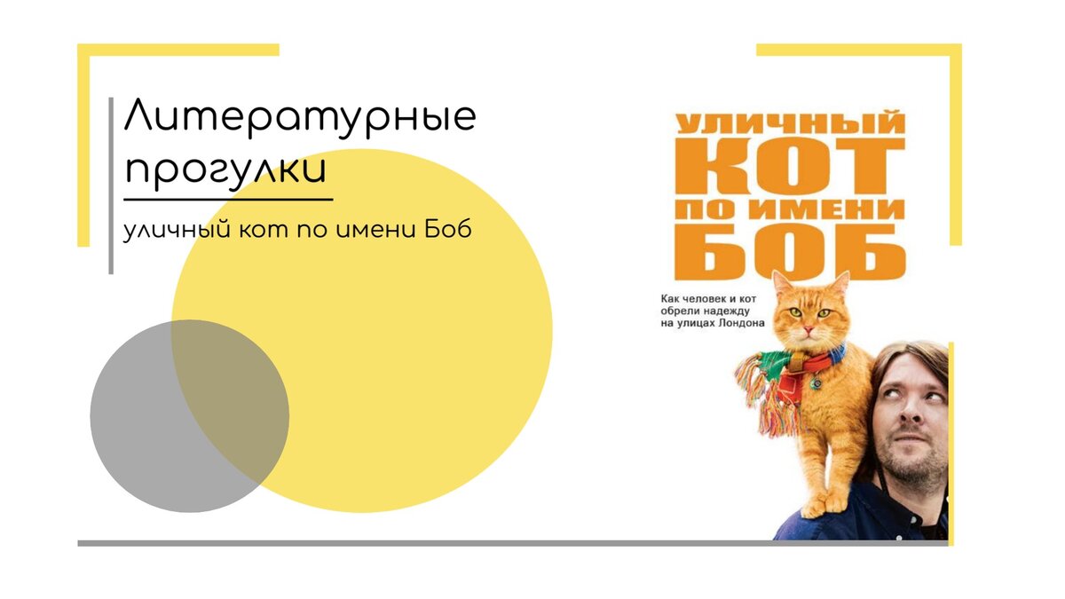 Литературные прогулки: уличный кот по имени Боб | Библиотека №83 | Дзен