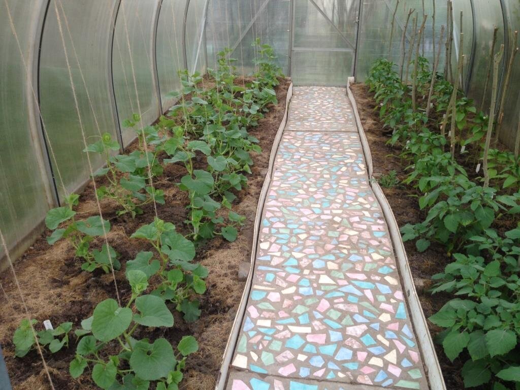 Перец посажен на грядке справа в дальнем конце теплицы.