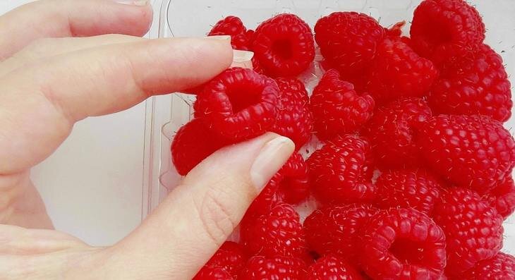    До 11 тонн ягод планируют собирать на семейной ферме в Ярославской области