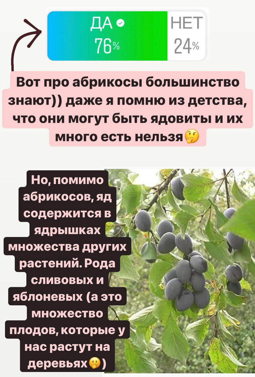 Добавьте описание
